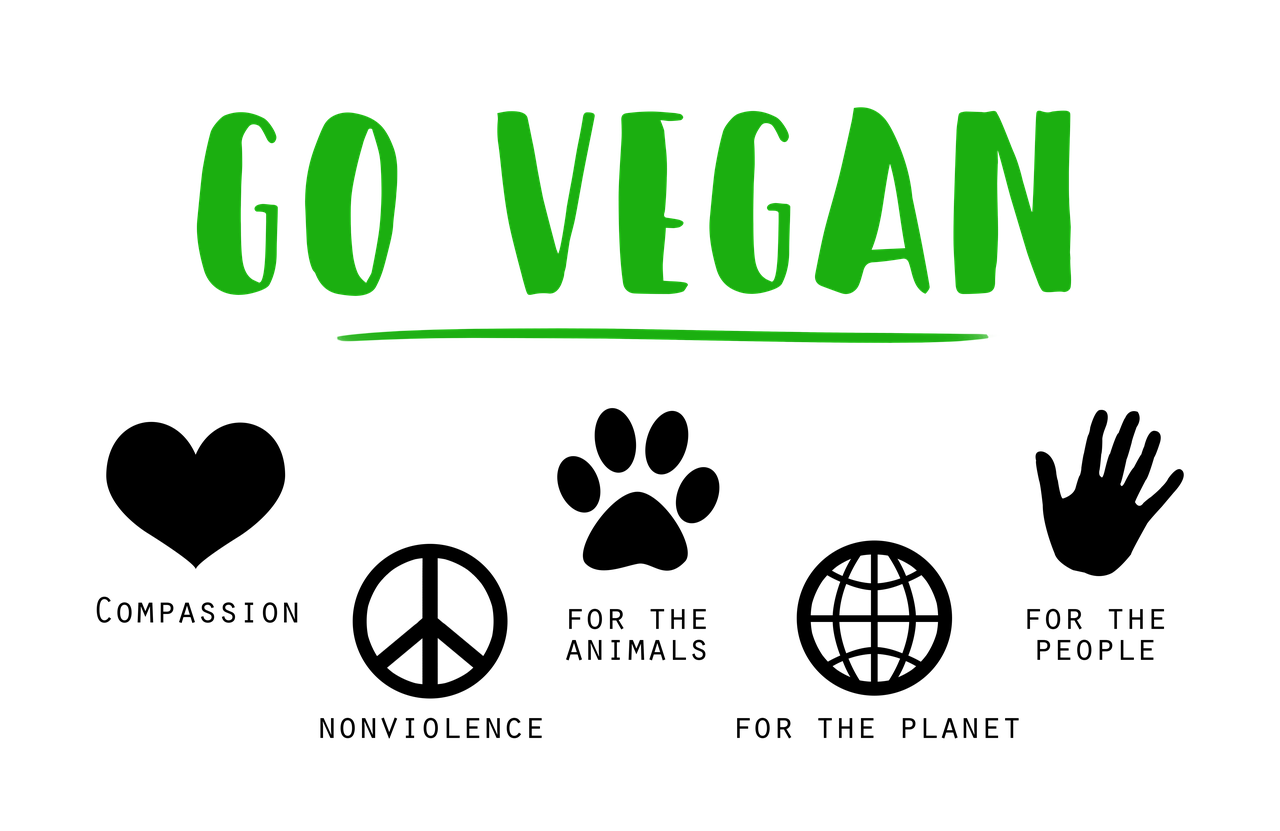 I am vegan - take away