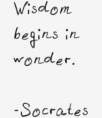 wisdom begins in wonder take away bon goesta